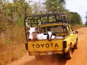 Transport in Afrika