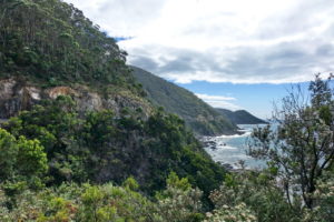 Steilklippen der Great Ocean Road