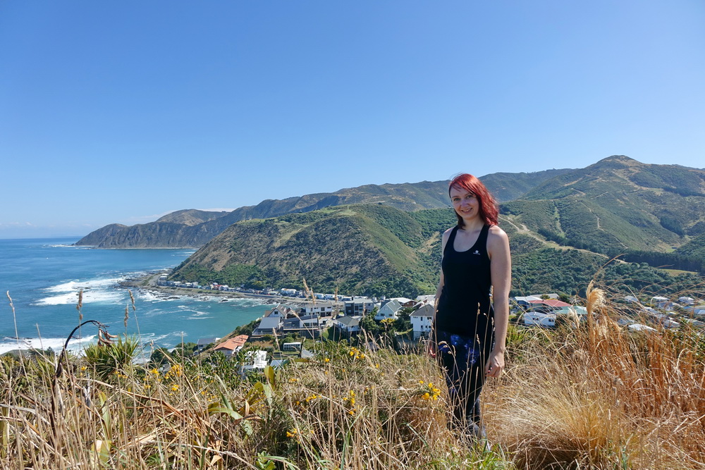 Wellington City to Sea Walk