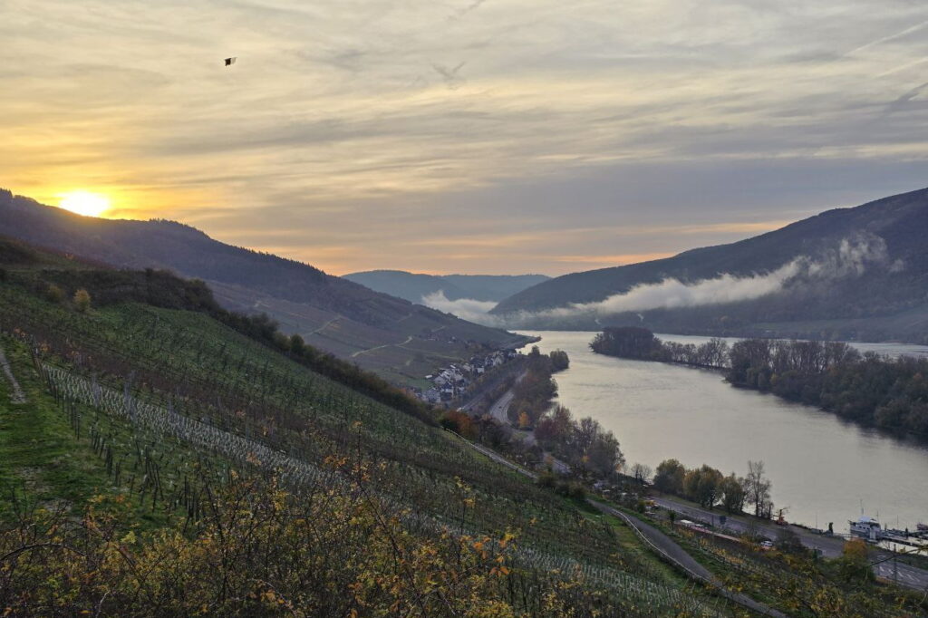 Rheinsteig von Lorch nach Ruedesheim Sonnenaufgang Weinberge