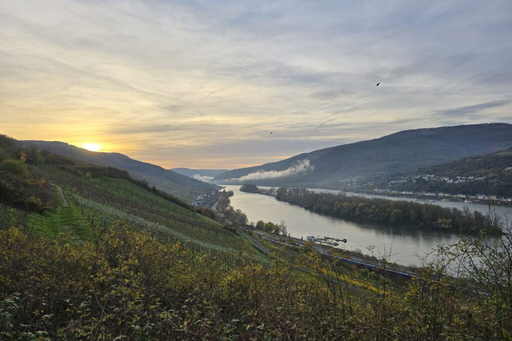 Rheinsteig von Lorch nach Ruedesheim Sonnenaufgang ueber den Weinbergen