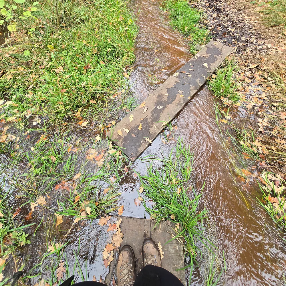 Hoge Kempen Nationalpark Trail Fotos Tag 1 nasse Fuesse