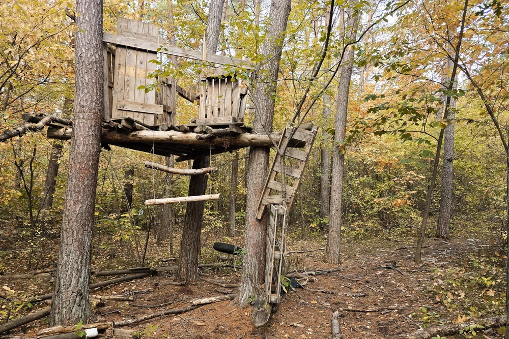 Hoge Kempen Nationalpark Trail Fotos Tag 2 Baumhaus
