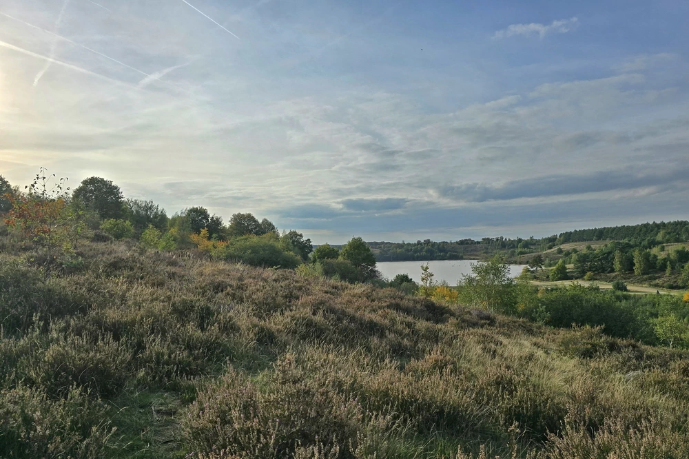 Hoge Kempen Nationalpark Trail Fotos Tag 2 Duenenlandschaft