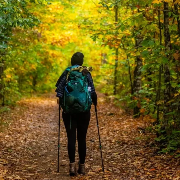Hoge Kempen Nationalpark Trail Fotos Tag 3 Herbststimmung