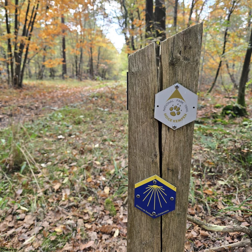 Hoge Kempen Nationalpark Trail Fotos Tag 3 Jakobsweg